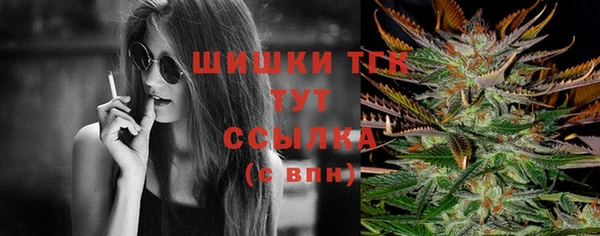 прущие крисы Абаза