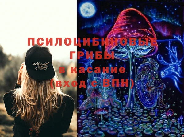 прущие крисы Абаза