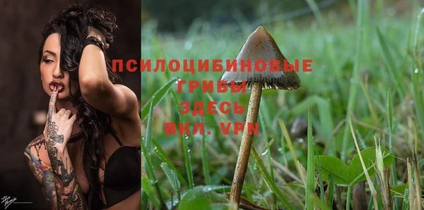 mix Пролетарск