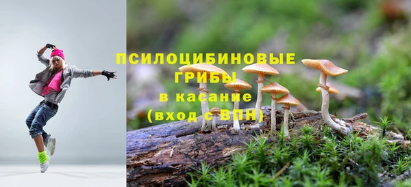 мяу мяу мука Абинск