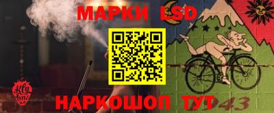 мяу мяу мука Камышлов