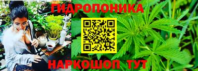 ECSTASY Люберцы