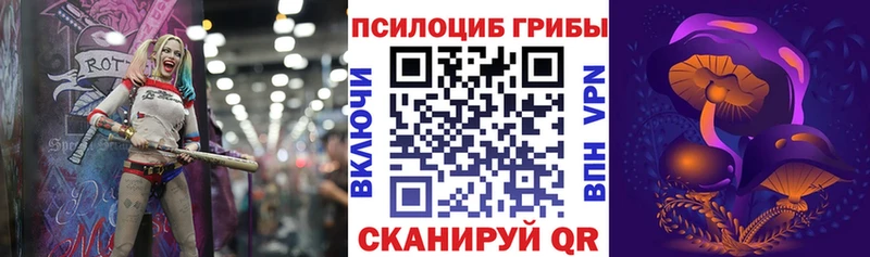 Псилоцибиновые грибы Psilocybe  где можно купить наркотик  гидра зеркало  Краснодар 