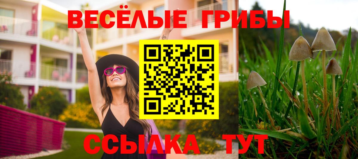 Галлюциногенные грибы ЛСД  Вход с VPN  Краснодар  Галлюциногенные грибы мухоморы 